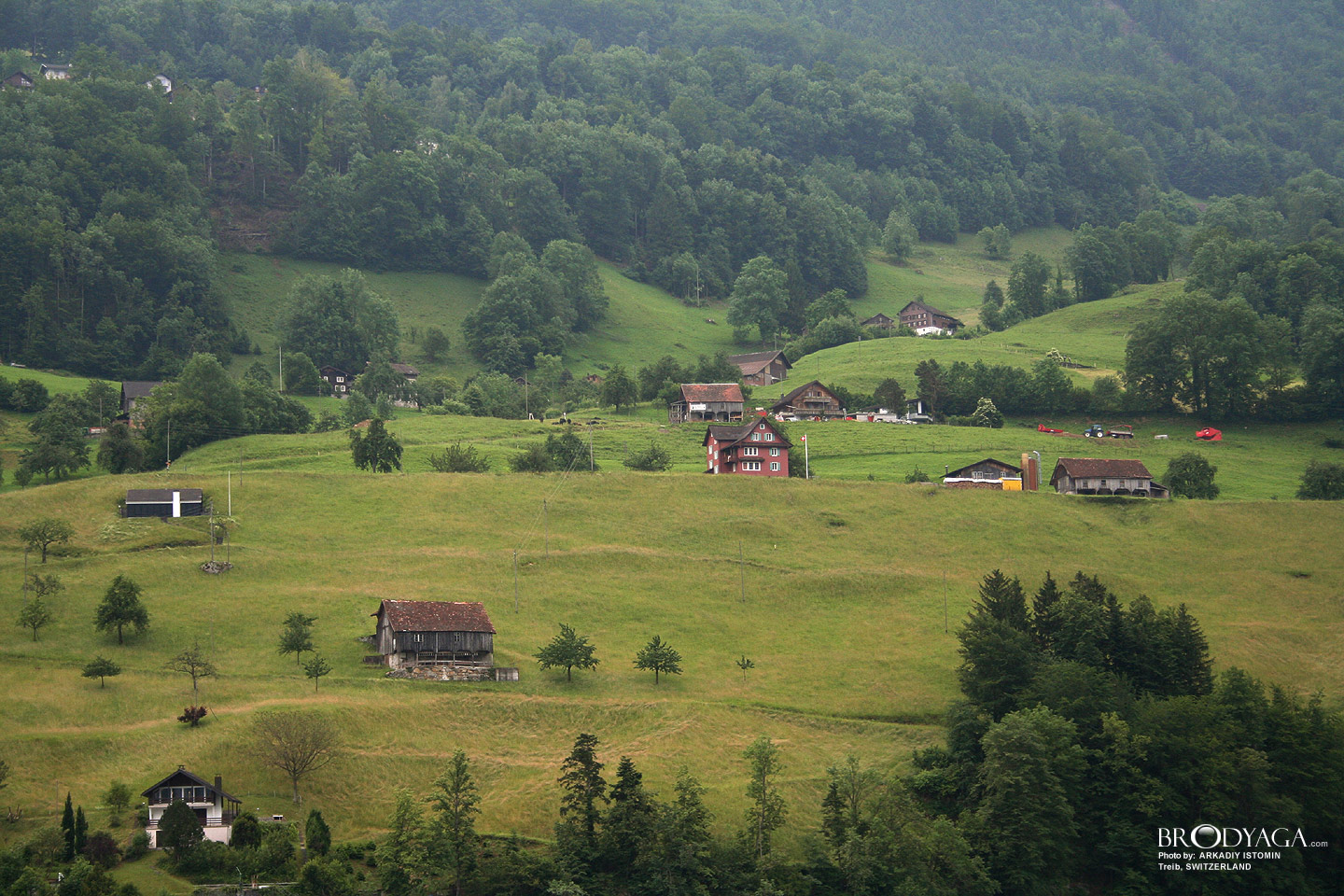 Treib